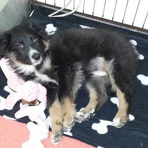 14.03.2013 zum ersten Mal mit Mama auf der Arbeit