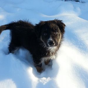 13.03.2013 kleines Schneekind