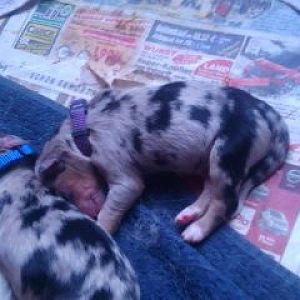 282804 317397051710057 1439547499 n