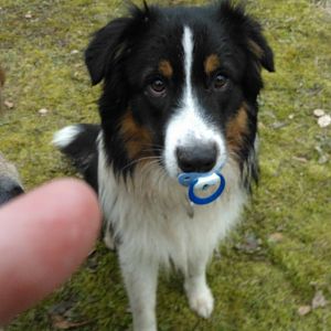 Bitte nicht wegnehmen..
den hab ich gefunden..