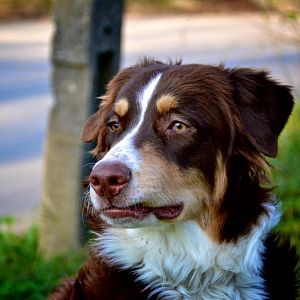 Was los wo was wieso!?!?!?!?!?