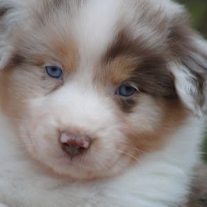 Das erste Bild, dass von unserem Schatz entstanden ist *love*