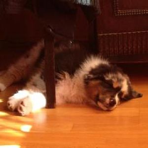 532914 612220892139843 1955580126 n