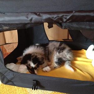 430342 612615158767083 763676712 n