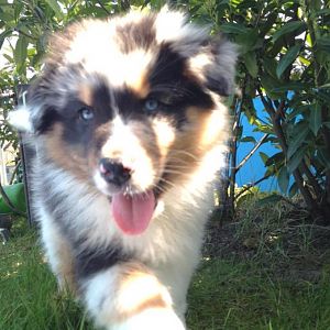 387231 612170515478214 18769145 n