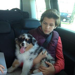 17213 612140635481202 1492722655 n