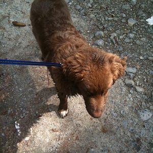 McGee die Wasserratte! ;)