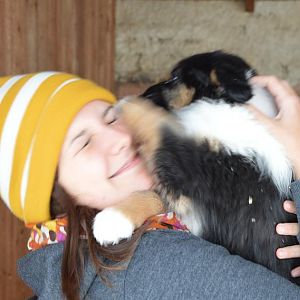 Besuch des Wurfs (7 Wochen)