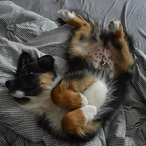 Sonntags ausschlafen