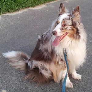Mit 8 ,5 Jahren