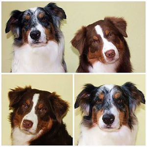 603429 534054866651277 44775604 n