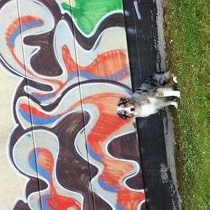 Graffiti!