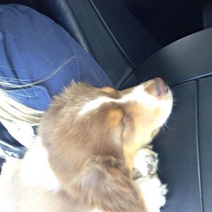 Er ist heute bei uns angekommen :)