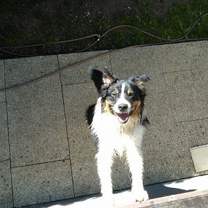 ich hab dich da oben gefunden!!