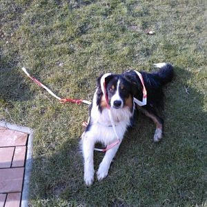 ich hab die Absperrung durchbrochen! :-)