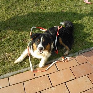 ... das ist ja ein cooles Band..