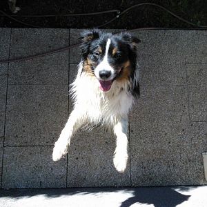 du bist da oben!! ich hab dich!!