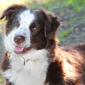 Luke und Jenna 06.06 088