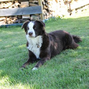 Luke und Jenna 06.06 019