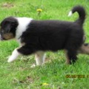 RVVF3UTBJM09UQTNSalEwTURWRU5UY3lORGt0YmpRdVluTXdOR0UkYzJWc1pXTjBhVzl1UFhSbWIyd3hNV0V6WTJJMVlXTmh