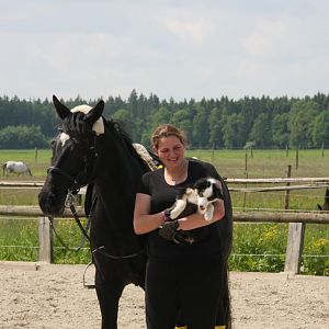 IMG 9930
