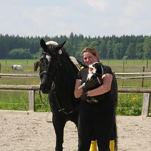 IMG 9927