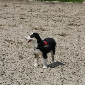 IMG 9919