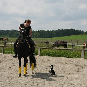 IMG 9912