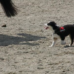 IMG 9893