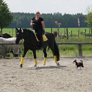 IMG 9879