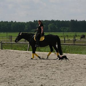 IMG 9851