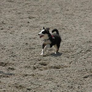 IMG 9839