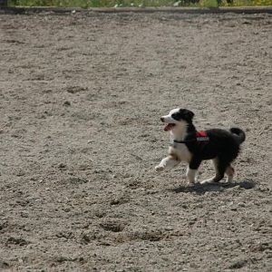 IMG 9838