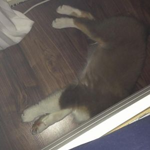 Tja Ähmmm ja :O) Kopf ab :O)