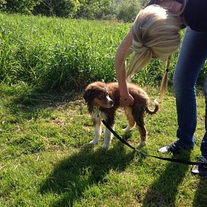 Ein spaziergang am See