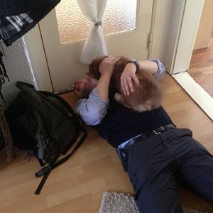 Wenn Herrchen heim kommt :O)