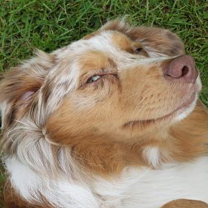 grkrault werden ist soooo entspannend :)