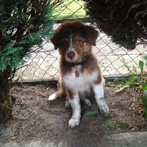 Bisschen dreckig :O)