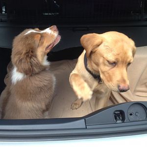 Meine Freundin Lilly