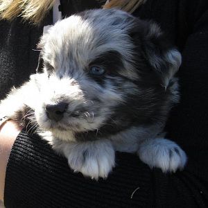 von hier oben kann man die ganze Welt sehen :D