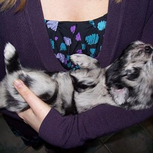 1. Besuch, da war er noch nicht so aktiv ;)