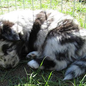 ganz schön müde...