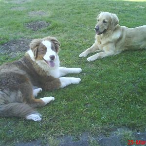 Ruby und Lea machen Pause