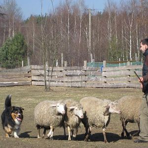 Pastuszkowo 24- 25 März 2012