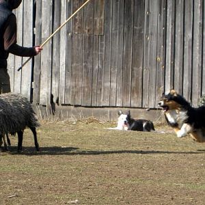 Pastuszkowo 24- 25 März 2012