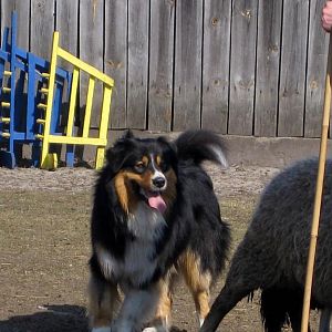 Pastuszkowo 24- 25 März 2012