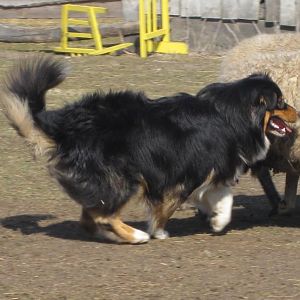 Pastuszkowo 24 25 marca 2012r