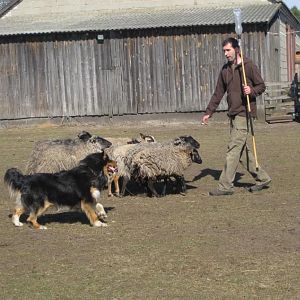 Pastuszkowo 24 25 marca 2012r