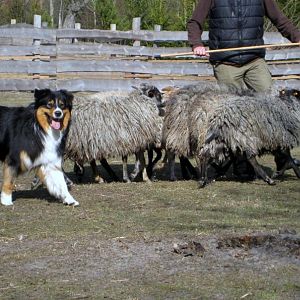 Pastuszkowo 24 25 marca 2012r