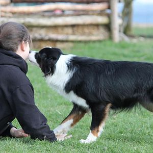 Guten Freunden gibt man ein Küsschen :)
